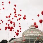 sefton palm house wedding venue live music liverpool