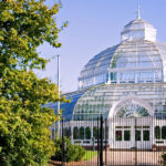 sefton palm house wedding venue live music liverpool